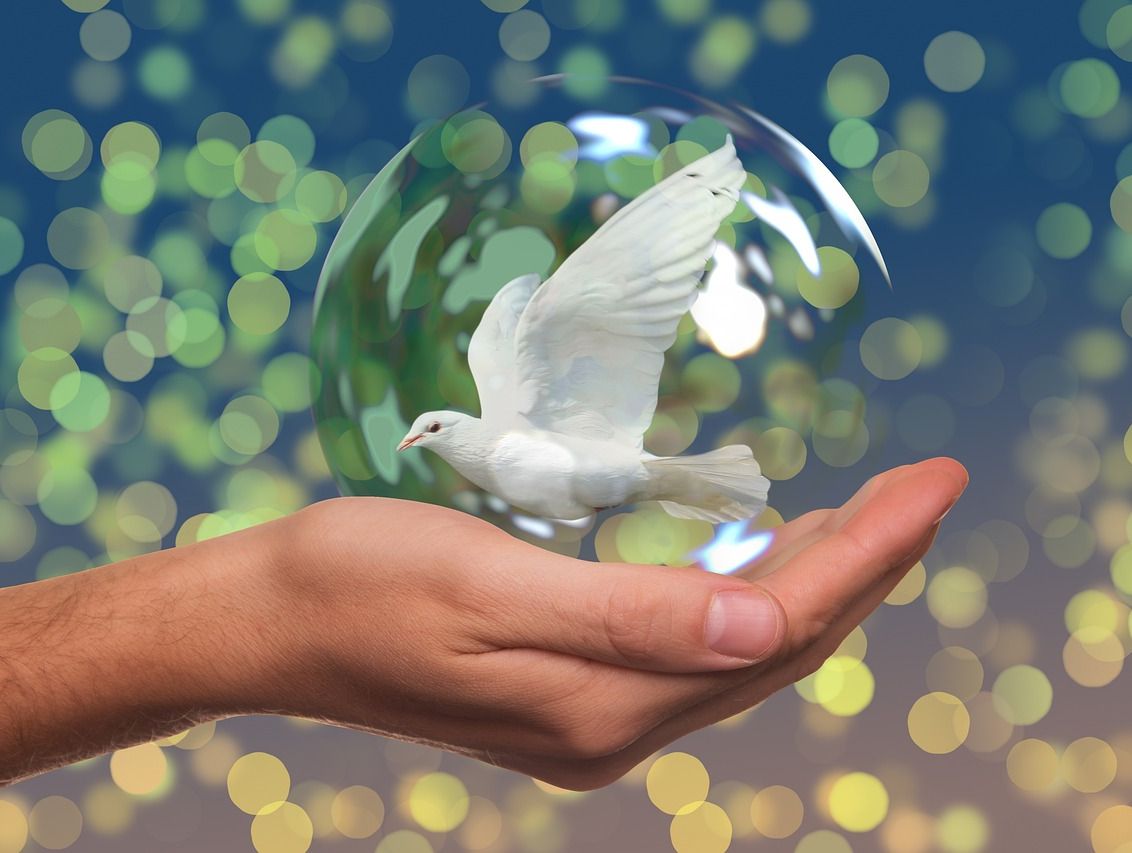 Eine weiße Taube in einer Seifenblase wird von einer Hand gehalten.