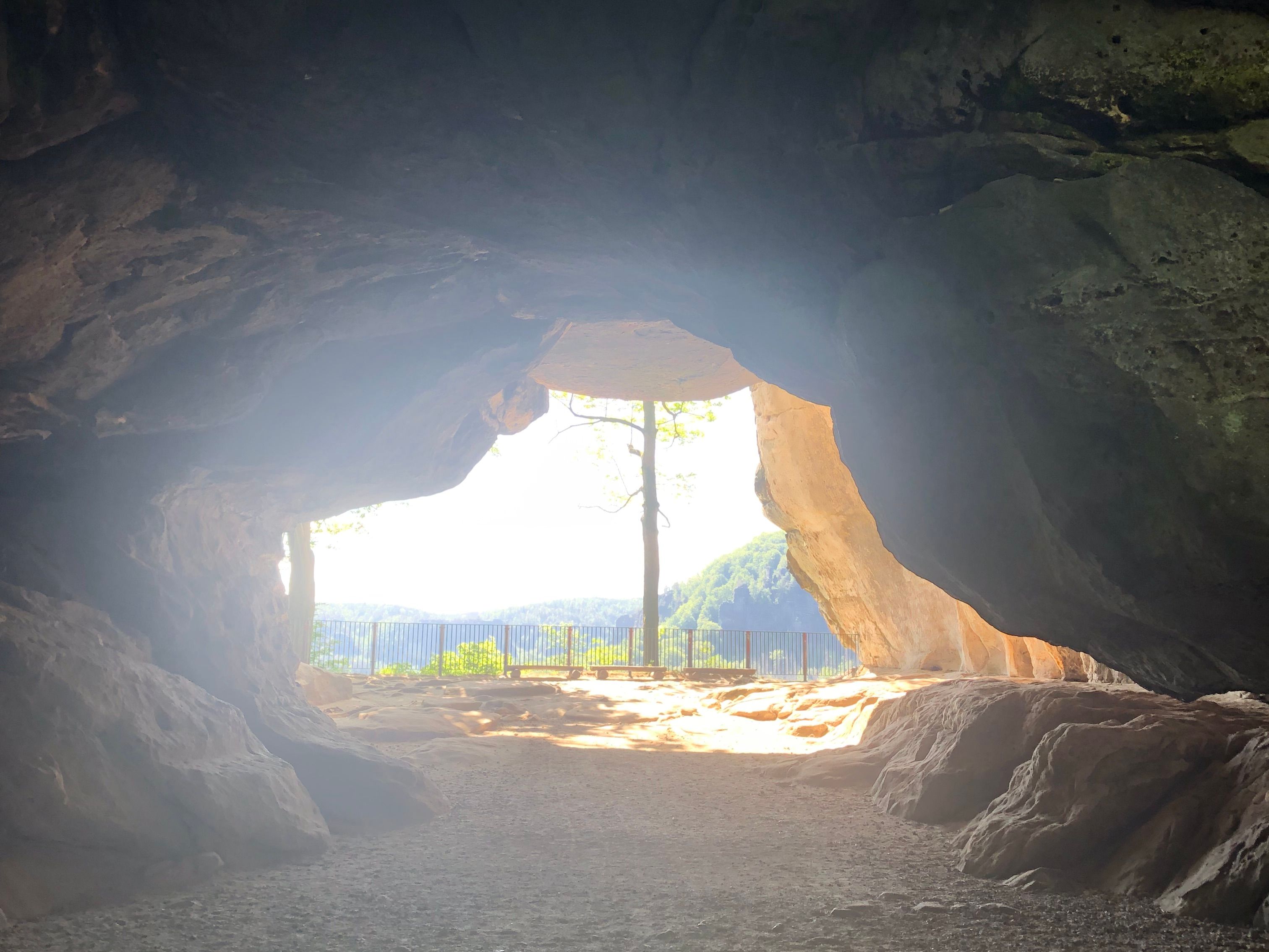 Eine weiße Rose vor schwarzem Hintergrund