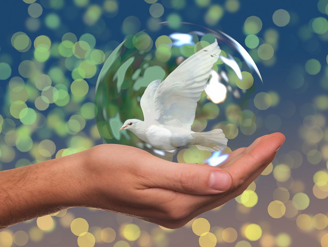 Eine weiße Taube in einer Seifenblase wird von einer Hand gehalten