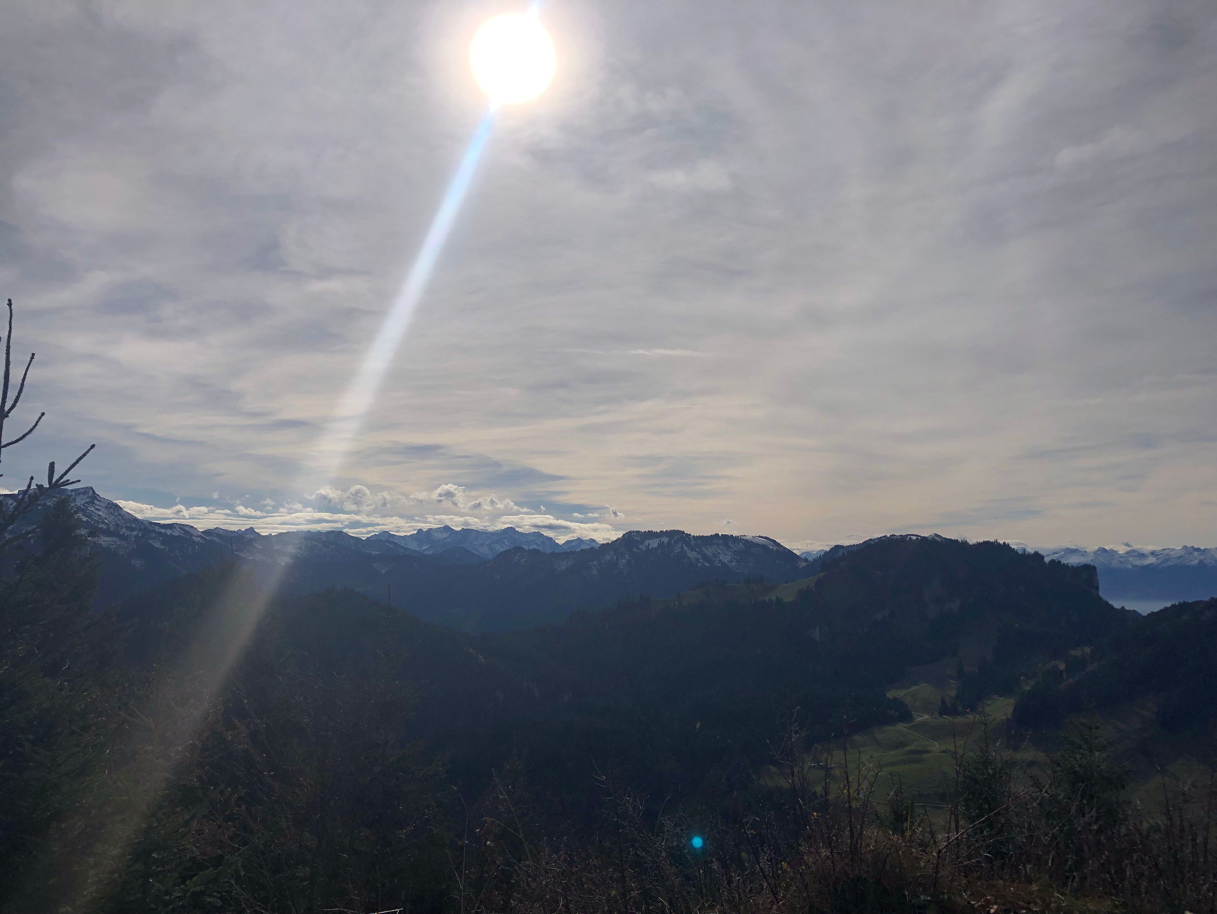 Eine weiße Taube in einer Seifenblase wird von einer Hand gehalten